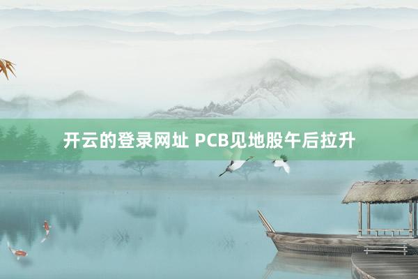 开云的登录网址 PCB见地股午后拉升