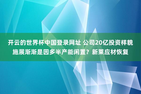 开云的世界杯中国登录网址 公司20亿投资样貌施展渐渐是因多半产能闲置?新莱应材恢复