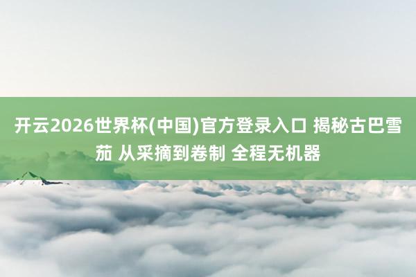 开云2026世界杯(中国)官方登录入口 揭秘古巴雪茄 从采摘到卷制 全程无机器