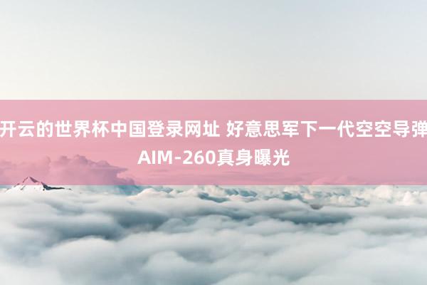 开云的世界杯中国登录网址 好意思军下一代空空导弹AIM-260真身曝光