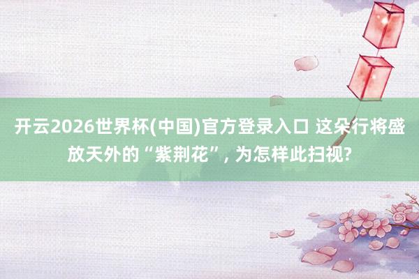 开云2026世界杯(中国)官方登录入口 这朵行将盛放天外的“紫荆花”， 为怎样此扫视?