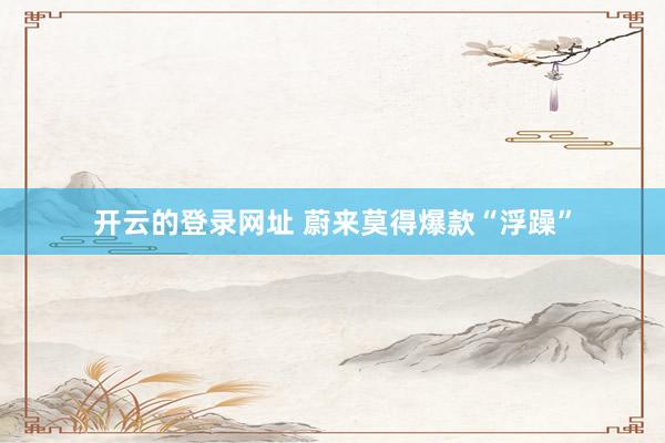 开云的登录网址 蔚来莫得爆款“浮躁”