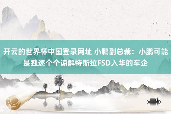 开云的世界杯中国登录网址 小鹏副总裁：小鹏可能是独逐个个谅解特斯拉FSD入华的车企