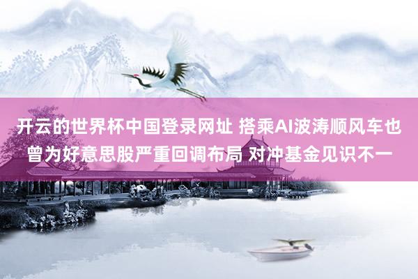 开云的世界杯中国登录网址 搭乘AI波涛顺风车也曾为好意思股严重回调布局 对冲基金见识不一
