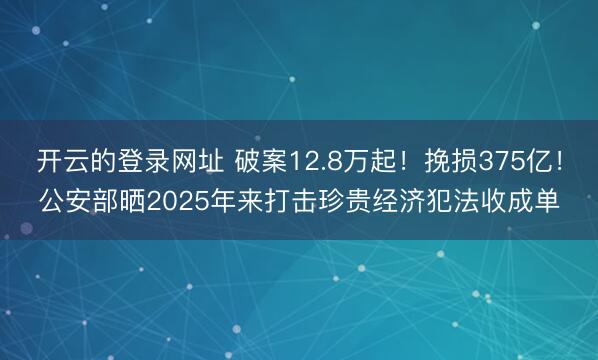 开云的登录网址 破案12.8万起!挽损375亿!公安部晒2025年来打击珍贵经济犯法收成单