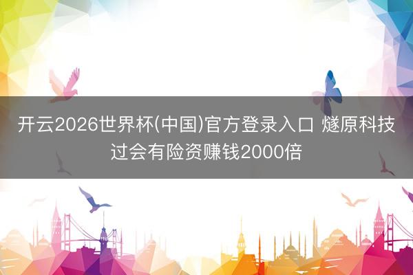 开云2026世界杯(中国)官方登录入口 燧原科技过会有险资赚钱2000倍