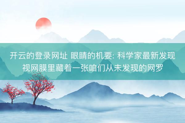 开云的登录网址 眼睛的机要: 科学家最新发现视网膜里藏着一张咱们从未发现的网罗