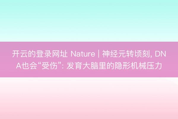 开云的登录网址 Nature | 神经元转顷刻, DNA也会“受伤”: 发育大脑里的隐形机械压力
